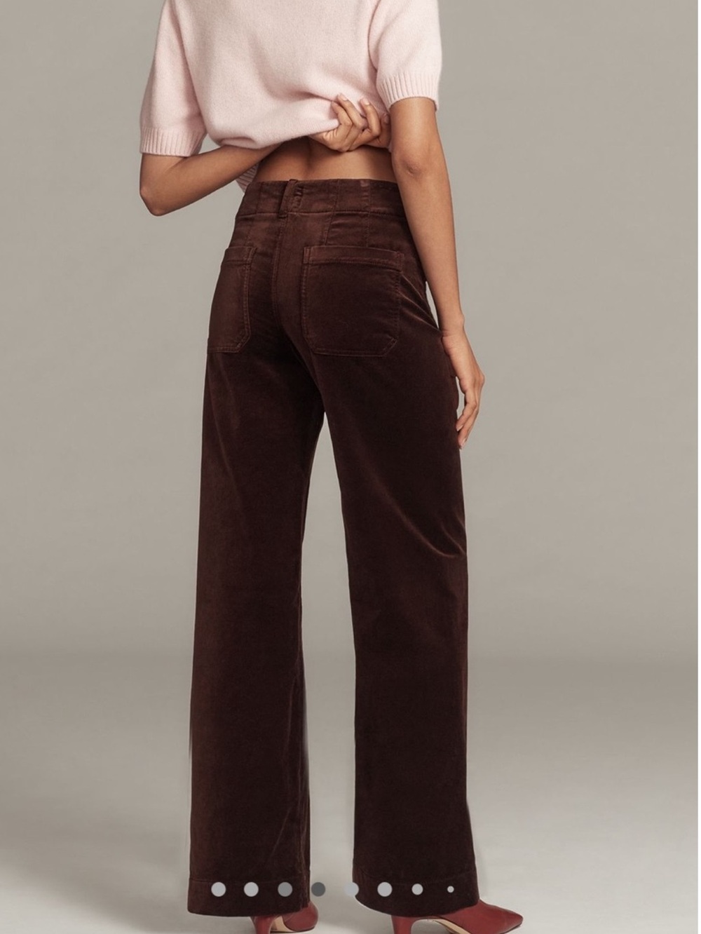Anthropologie COLETTE Full-Length Wide-Leg Velvet Pants Maeve NEW Size 30 Brown